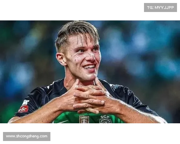 瑞典主帅力挺哲凯赖什回应批评：质疑者不懂球他场上影响力巨大